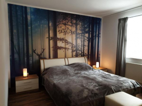 Ferienwohnung Fichtelmountain, Fichtelberg